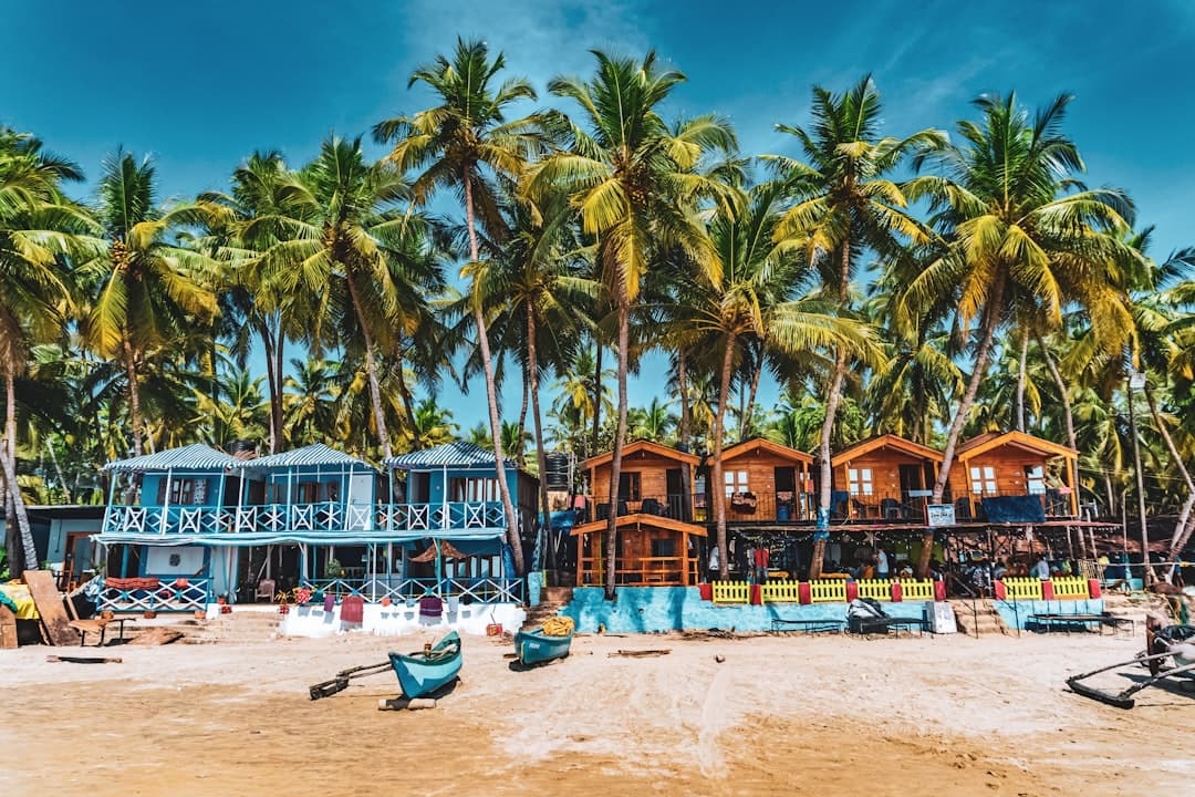 Goa, day 1, view 1